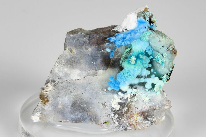 Vibrant Blue, Cyanotrichite with Cubic Fluorite - China #186021